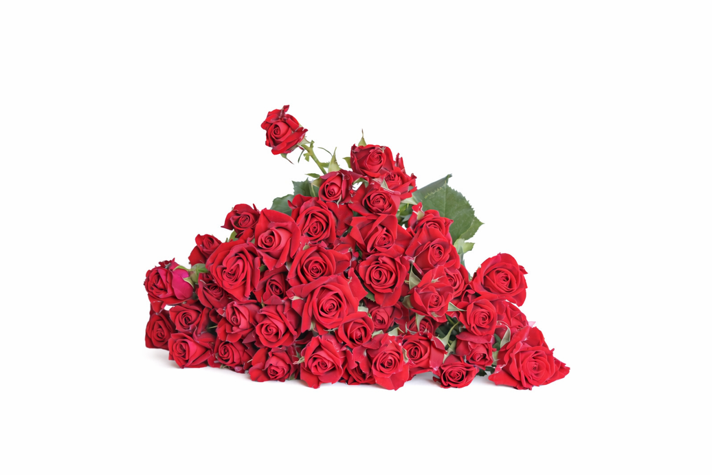 Dominica Red