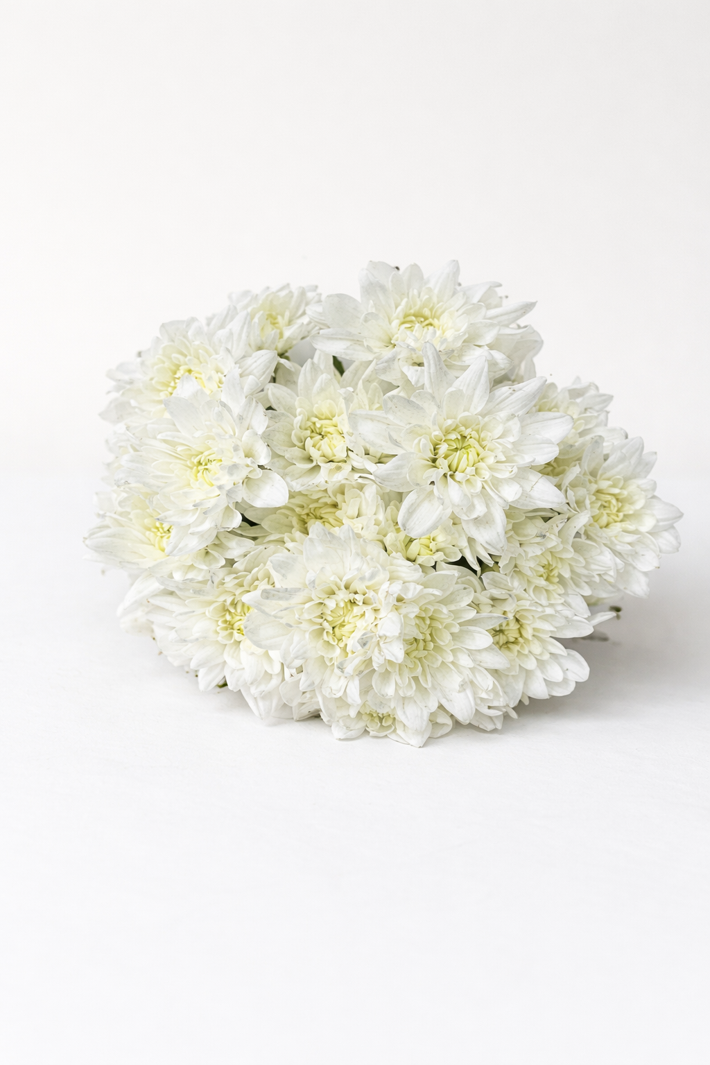 Pina Colada White