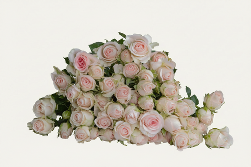 Good Mood Cream Pink