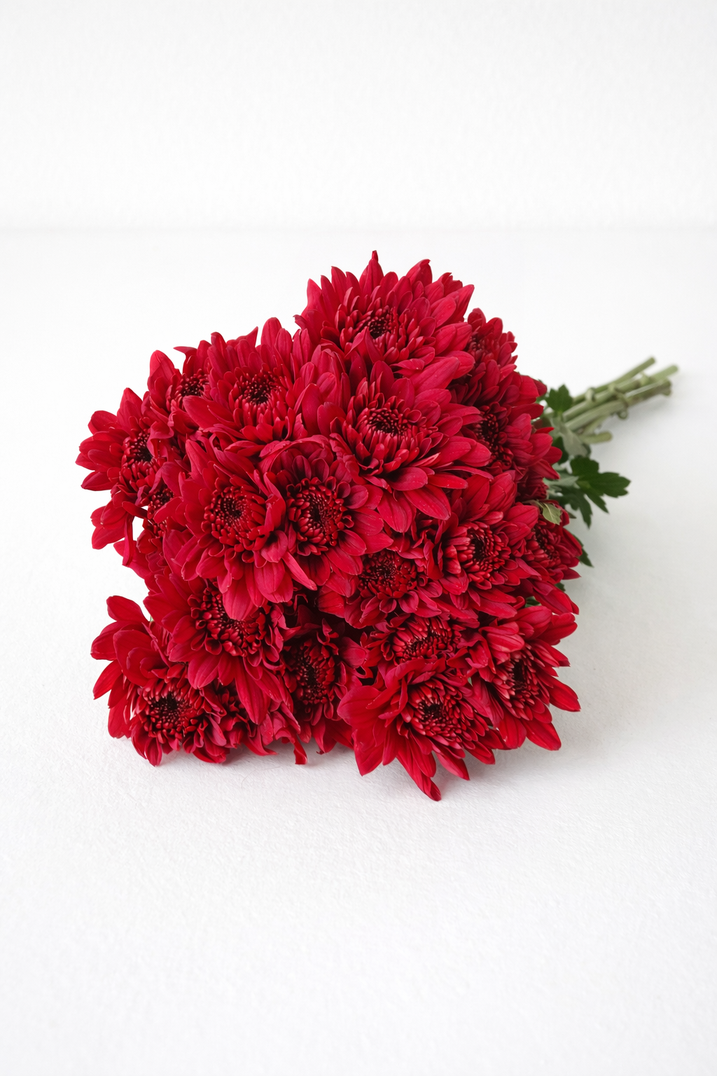 Lamira Red