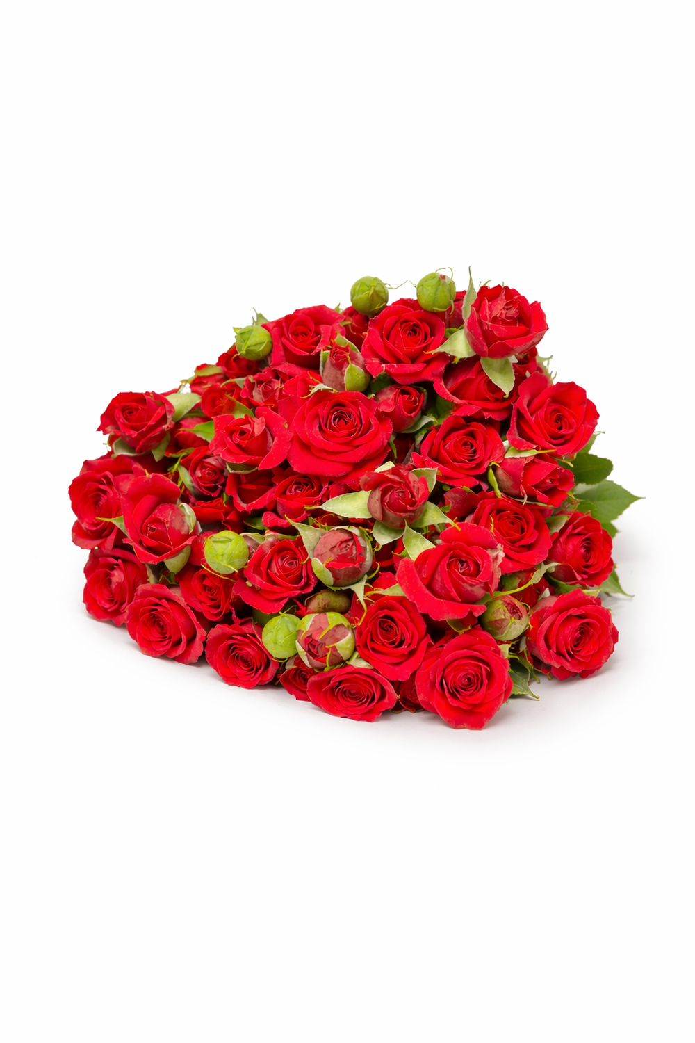 Mirabel Red