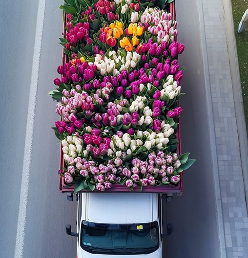 Truck full of flowers